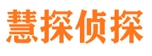 桃城市私家侦探